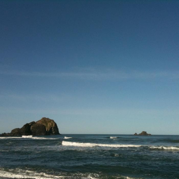 Near Yurok Loop Trail