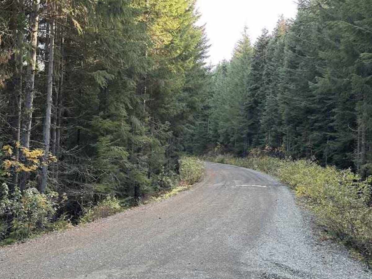 Tucker Creek Road photo 5