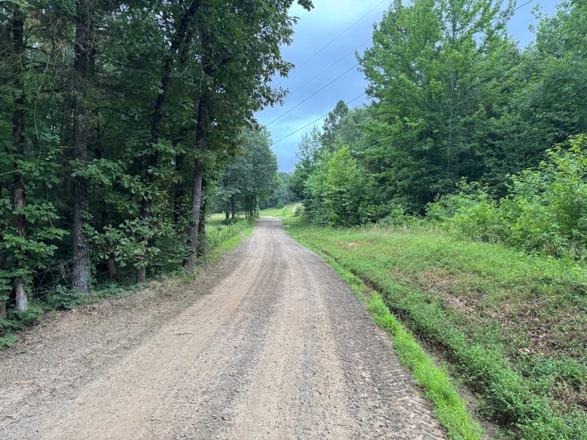 County Road 3355 photo 3