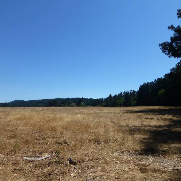 Horse pasture next to the Kule Loklo trail Near Morgan