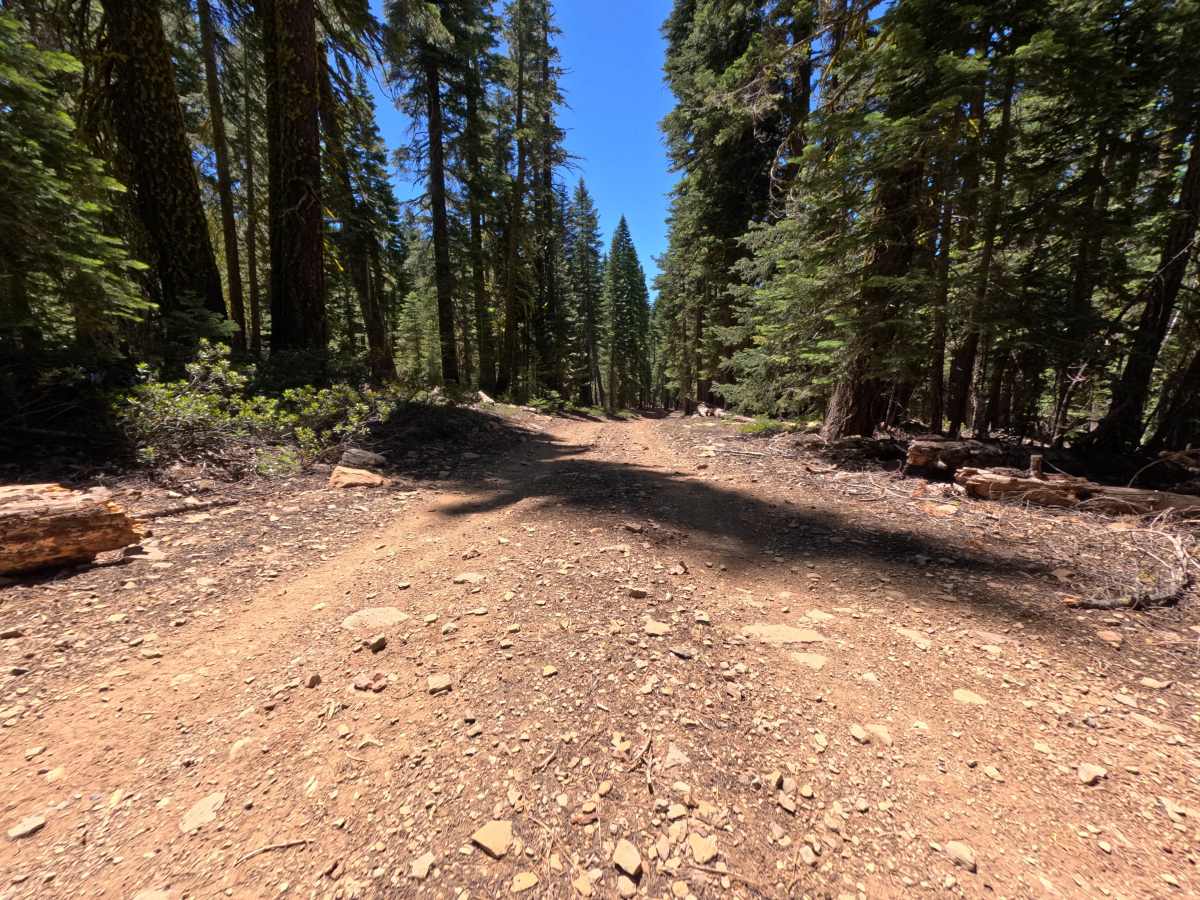 Sawtooth - Spur D photo 4