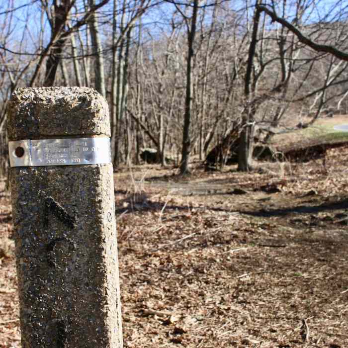 Near Hawksbill Summit Loop