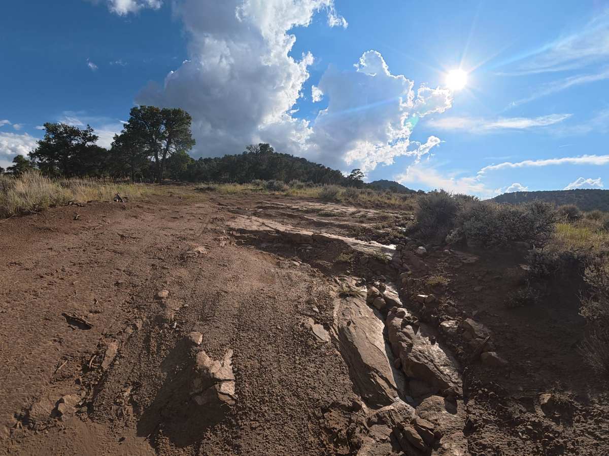 BLM 621 photo 4