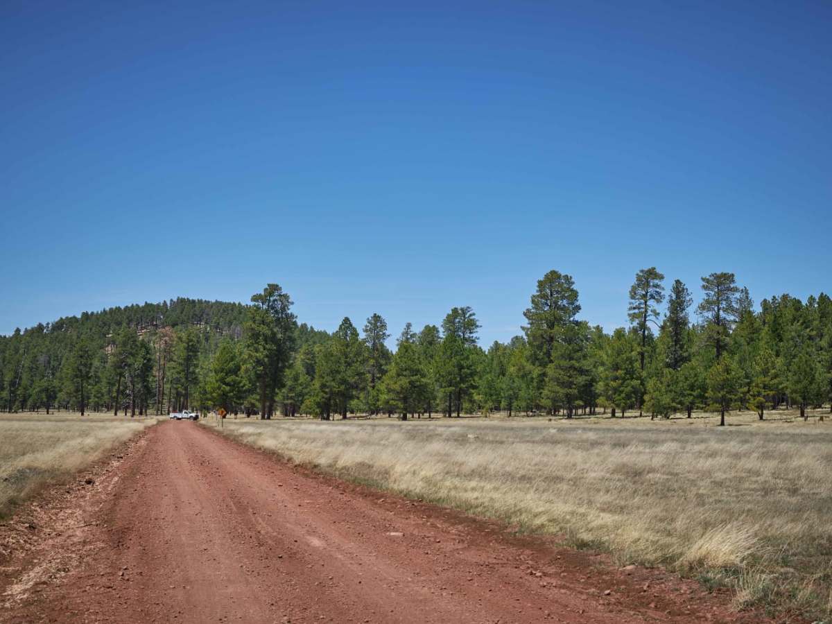 Sheep Springs Road photo 5
