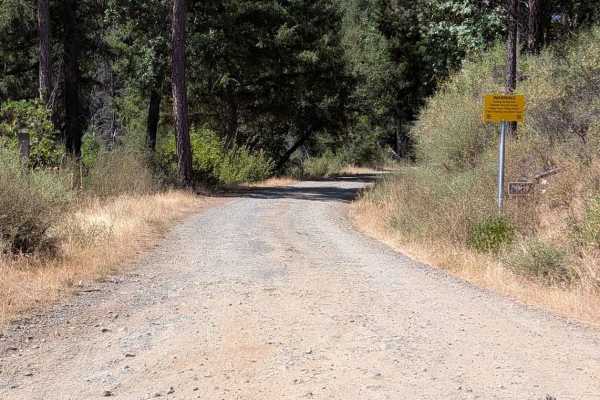 Bridge Gulch Road - FS 31N19