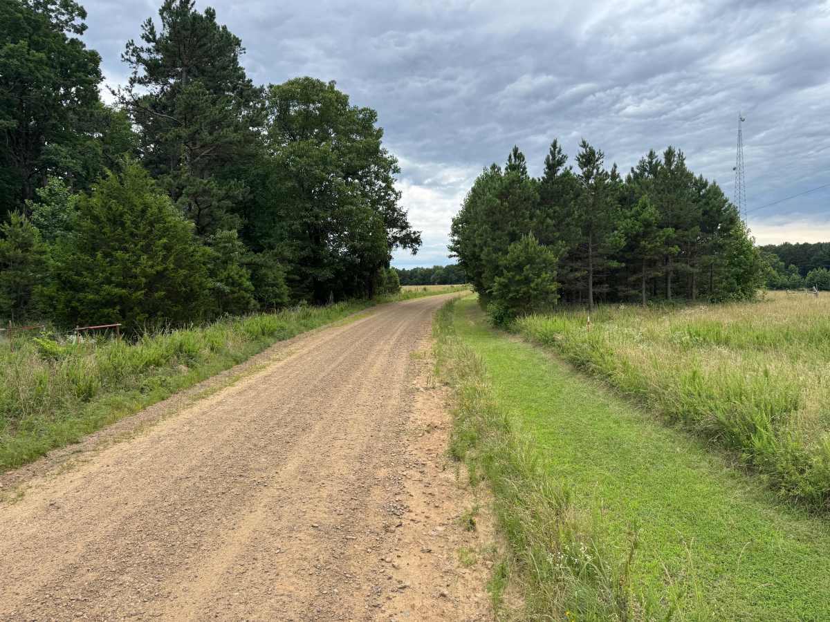 County Road 4250 photo 5