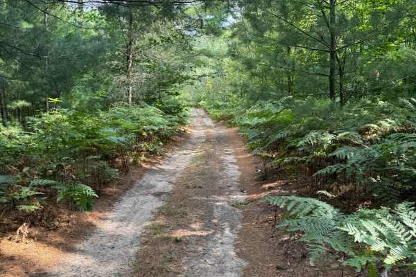 Healy-Henry North Trail