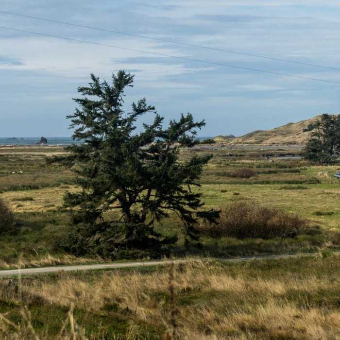 Near River Trail Hike