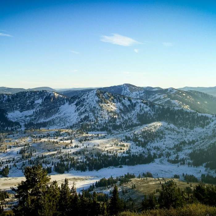 Near Bloomington Peak Hike