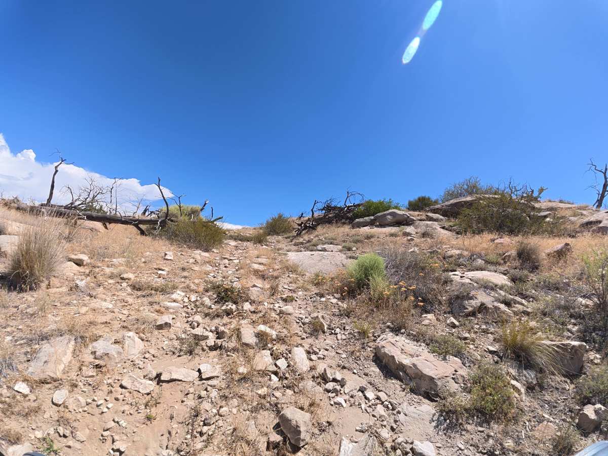 BLM 287 photo 3