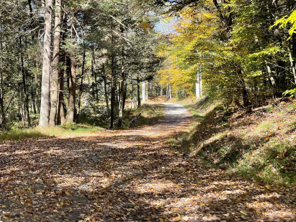 Parsons to Stone Lake Run photo 5