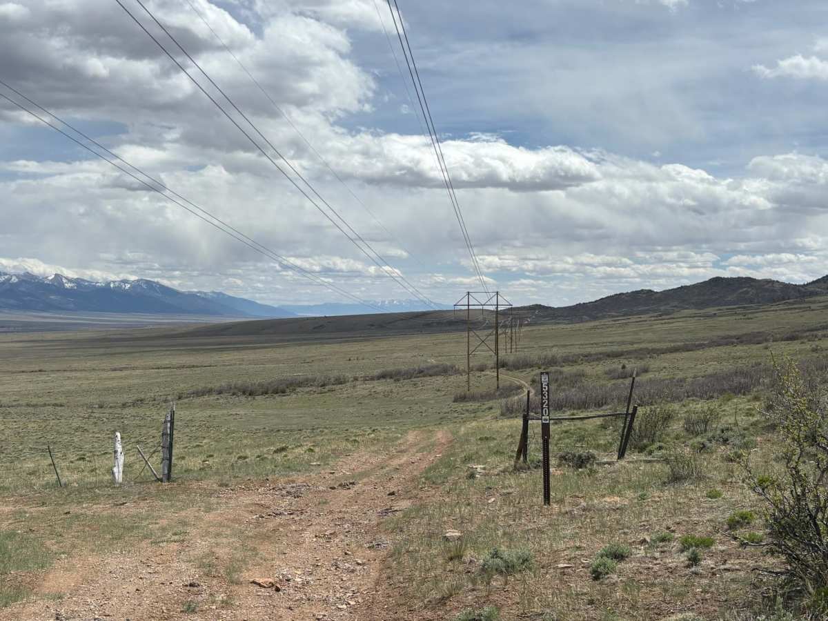 Wild Bill Gulch Road trail photo