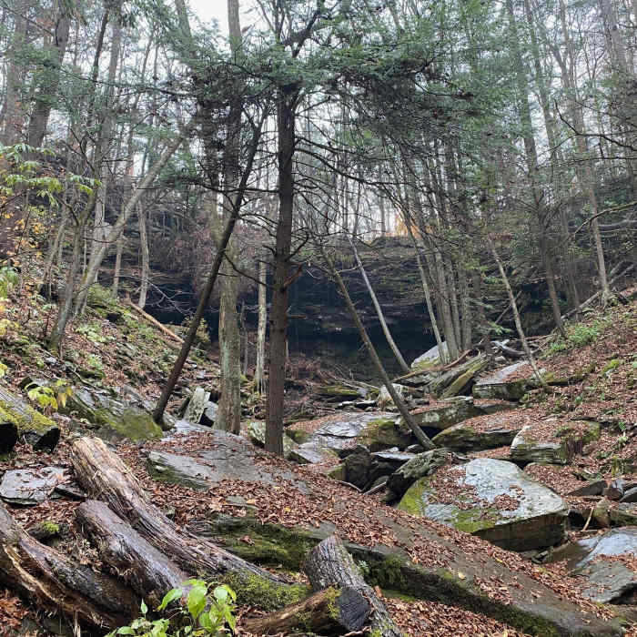 Jacoby Falls Near Jacoby Falls