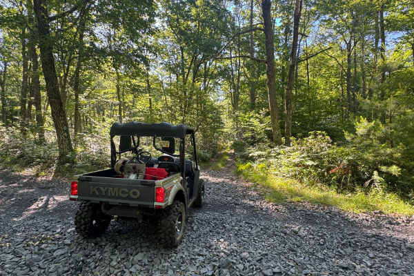 Francis Trail