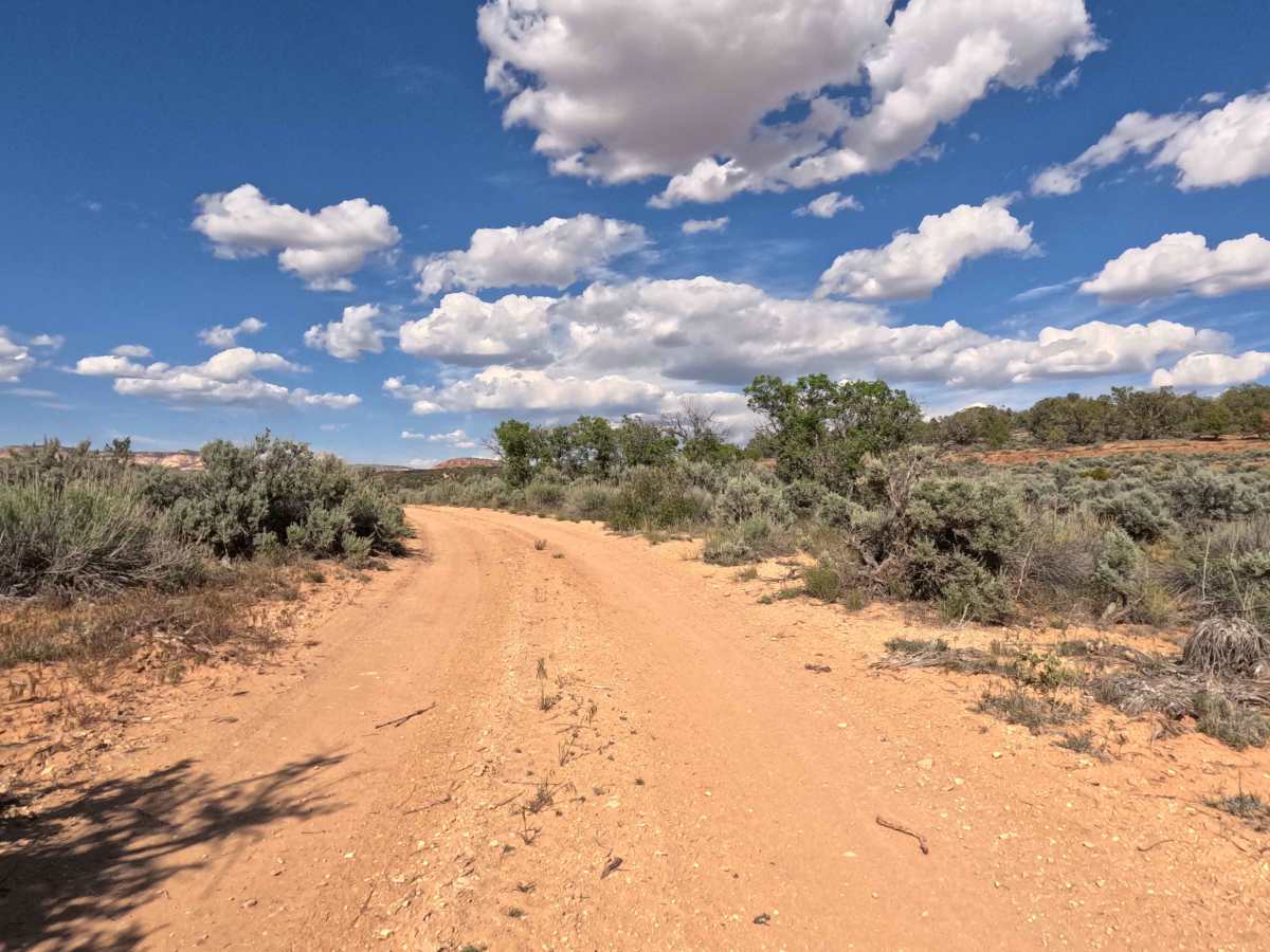 BLM 43 photo 5