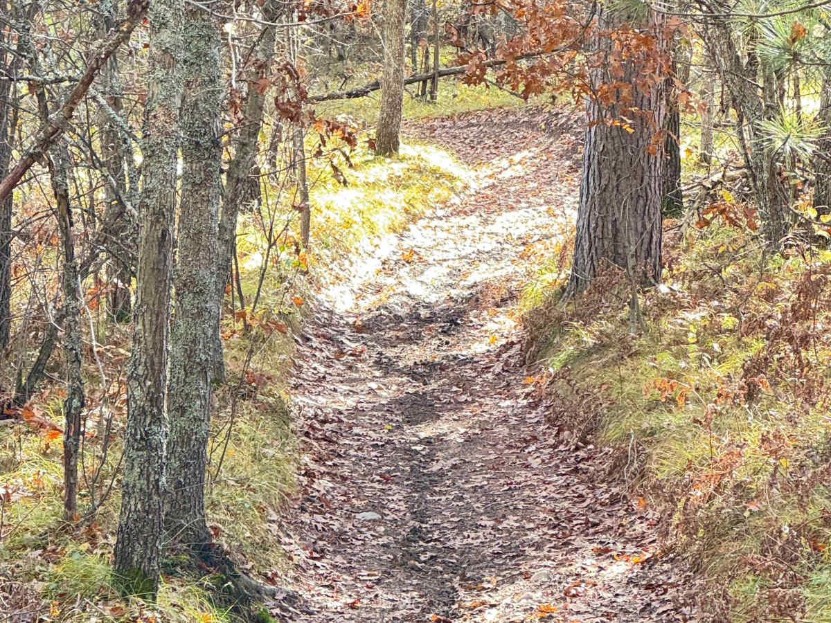 Ambrose Lake to Rose City Trail photo 2