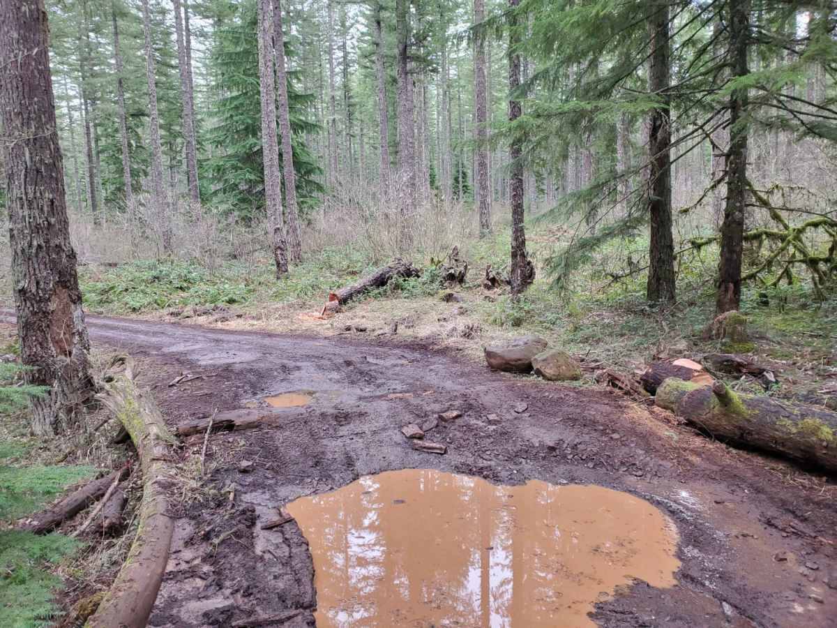 Trail 800 photo 2