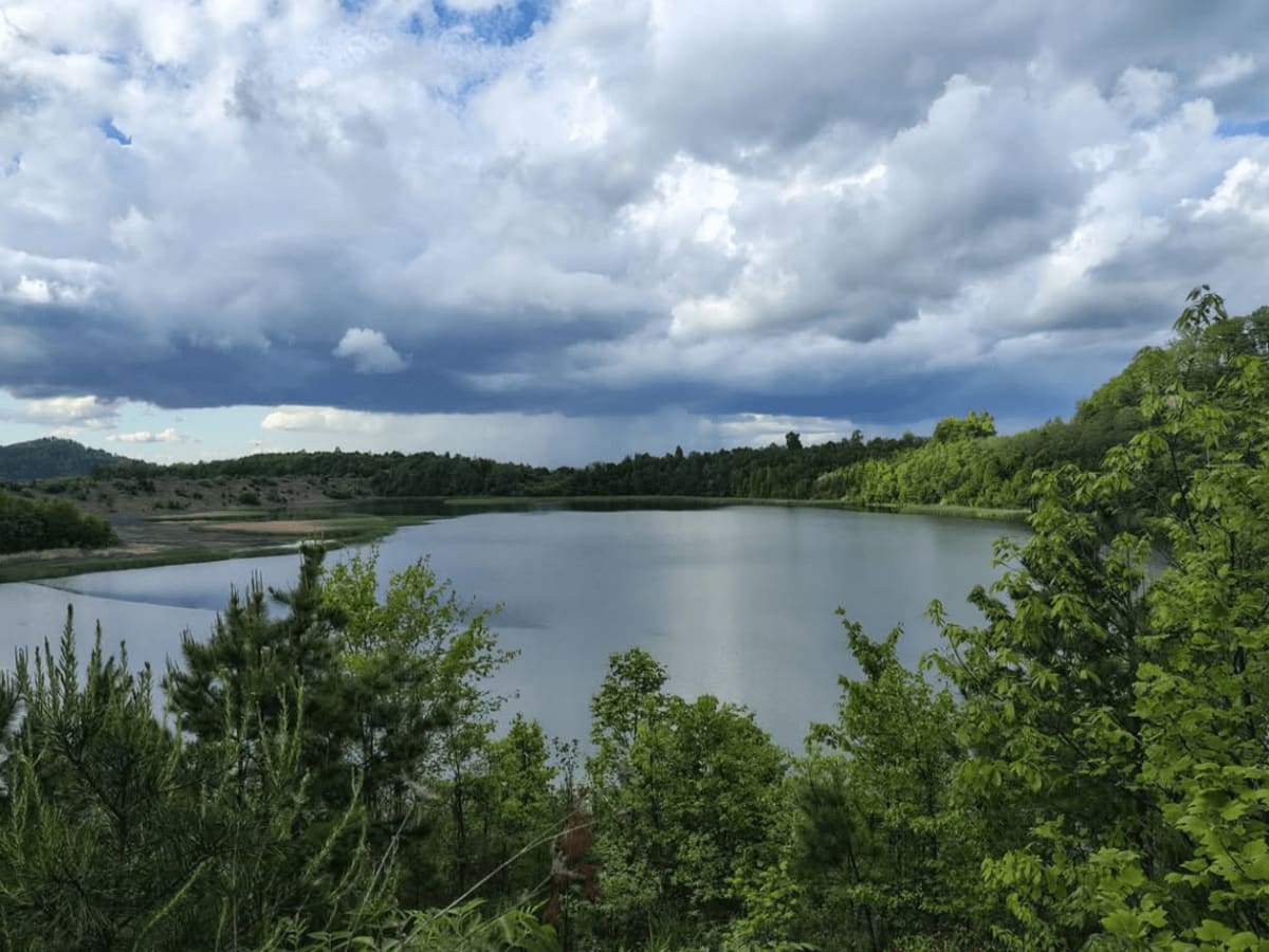 Four Seam Branch Pond  trail photo