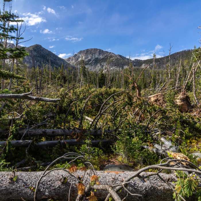 Near Hollowtop Mountain Near Hollowtop Mountain