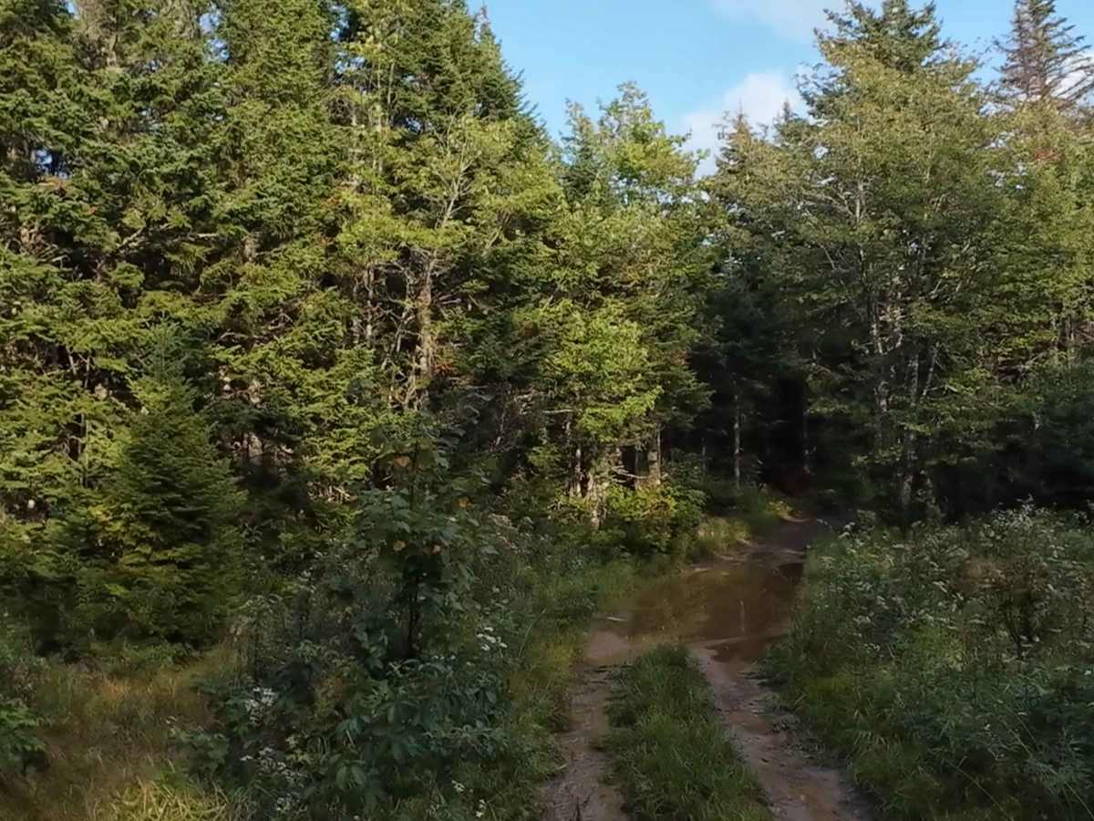 West Branch Turtle Creek photo 4
