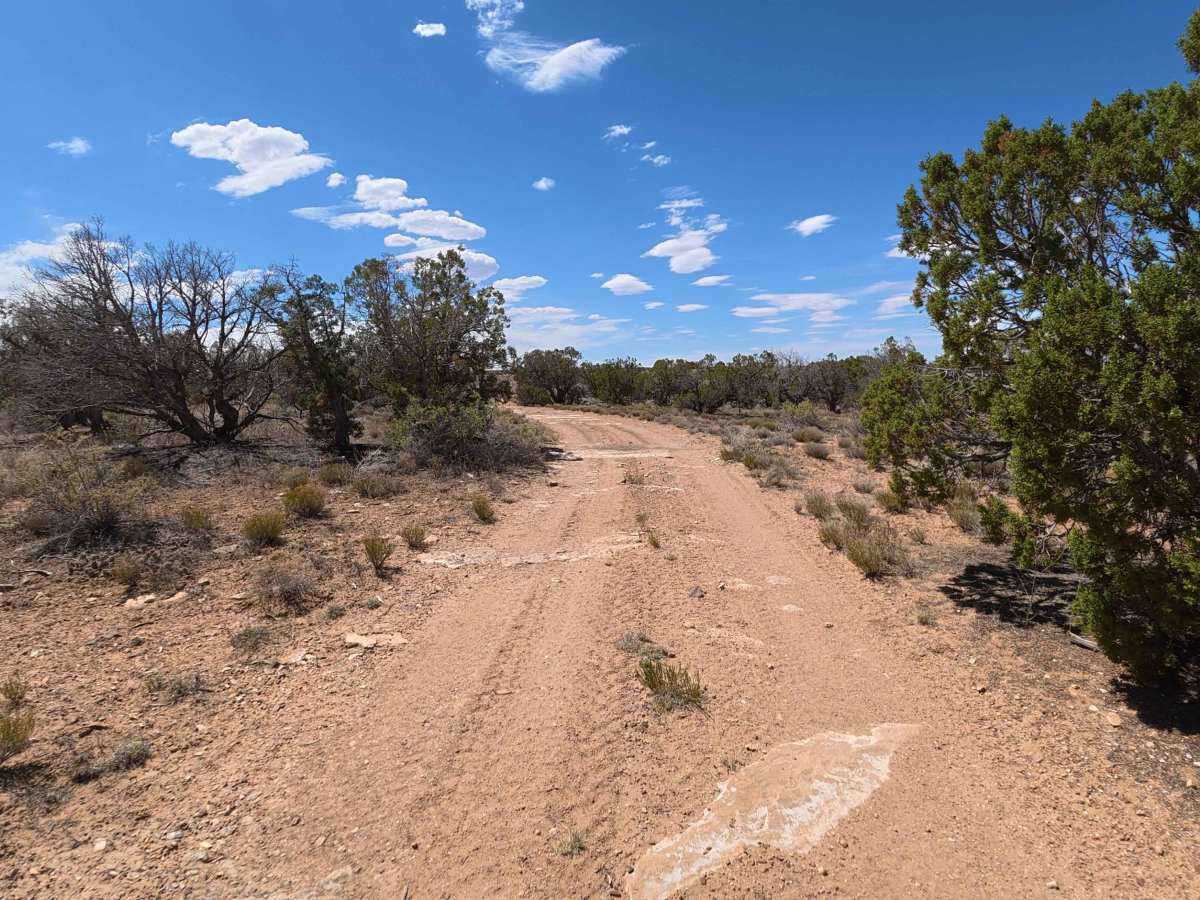 Coal Bank Loop photo 6