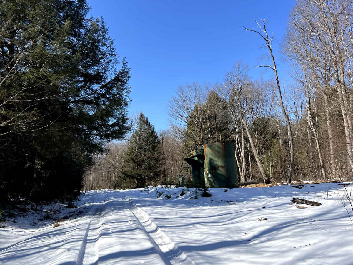 Westline Loop trail photo
