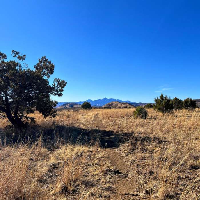 Near Canelo Hills Loop