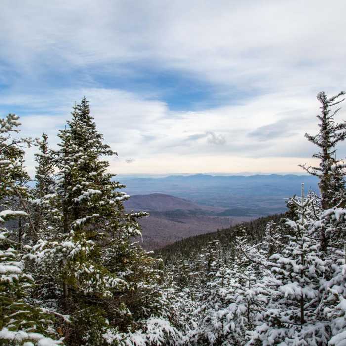 Near Mount Cabot to Unknown Pond Loop Near Mount Cabot to Unknown Pond Loop