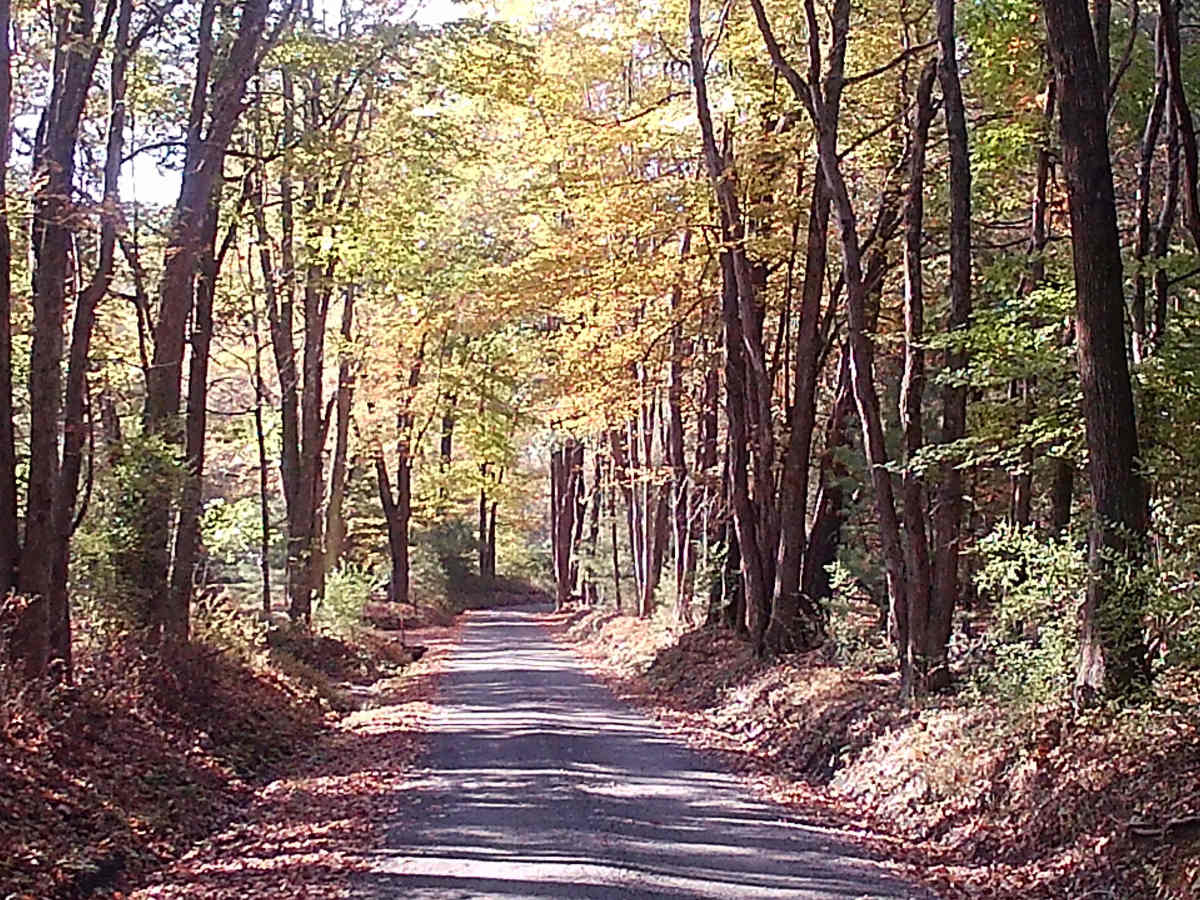 Decker Run Road photo 2