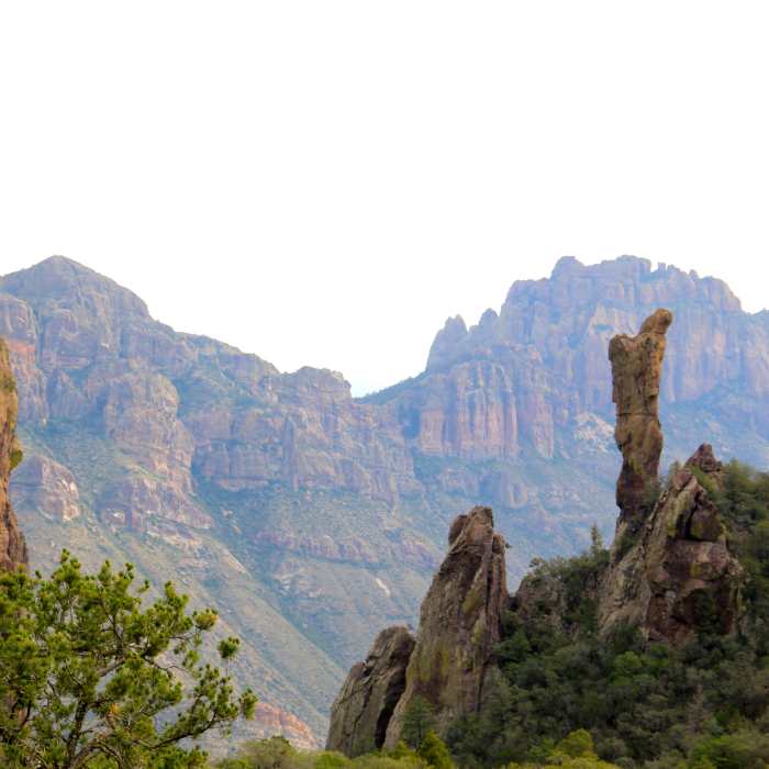 Near Chisos Mountain Loop