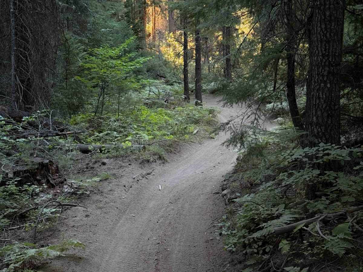 Maze Trail   photo 6