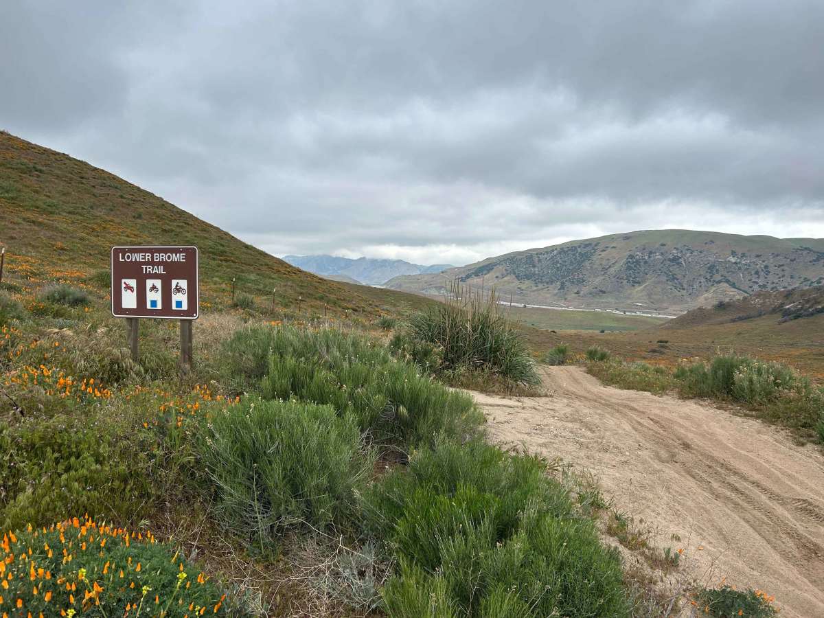 Lower Brome Trail trail photo