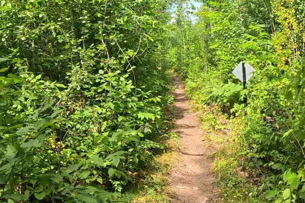 Greenwald Run