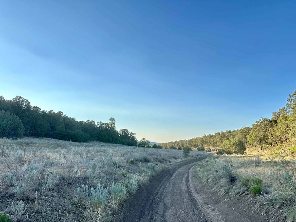 Meadow Ridge Alternate Pass trail photo