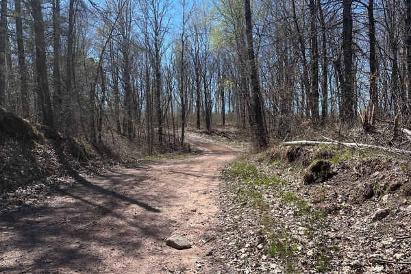 Churchill Lake Trail