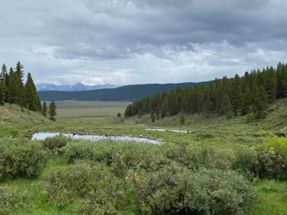 Cameron Creek trail photo