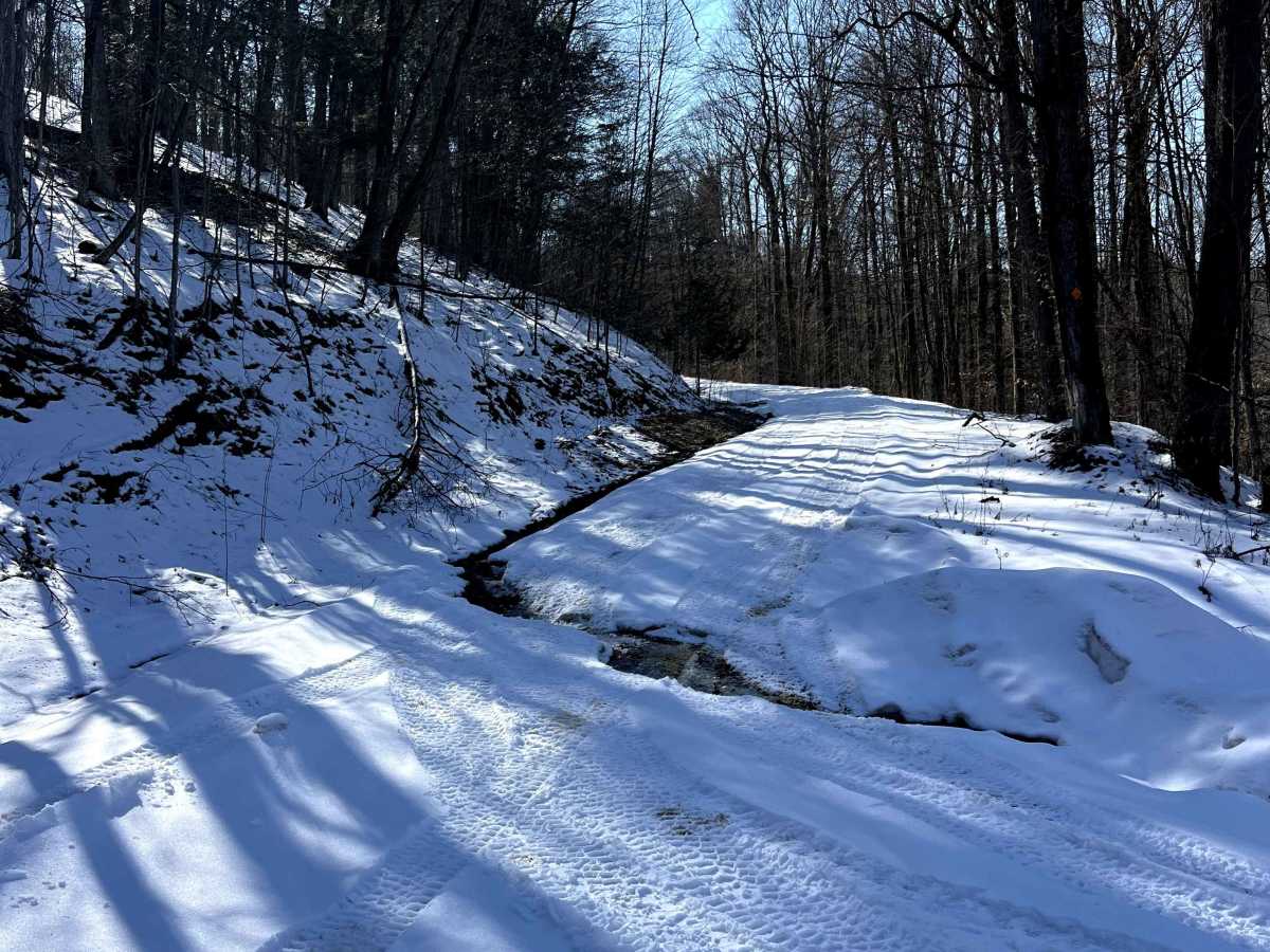 Blacksnake Run Alternate photo 2