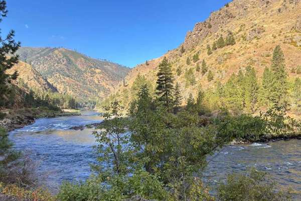 Wind River- NF 1614
