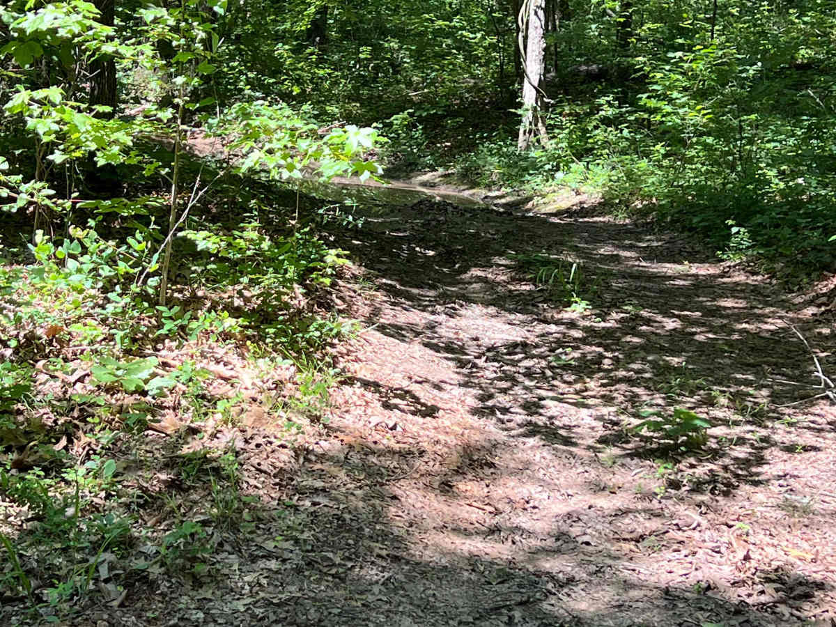 Log Bypass - FS 93202C trail photo