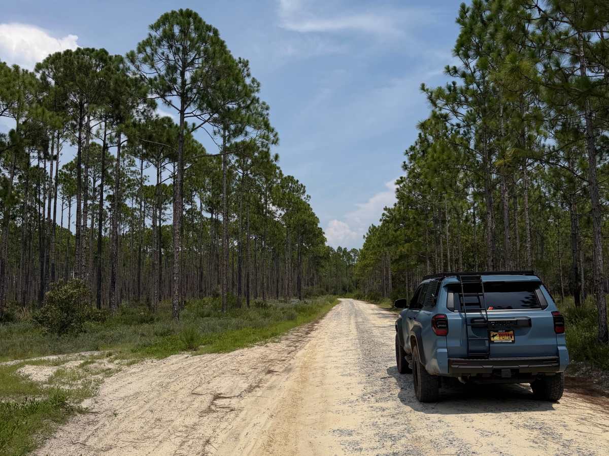 Point Washington State Forest Highway 293 Entrance photo 4