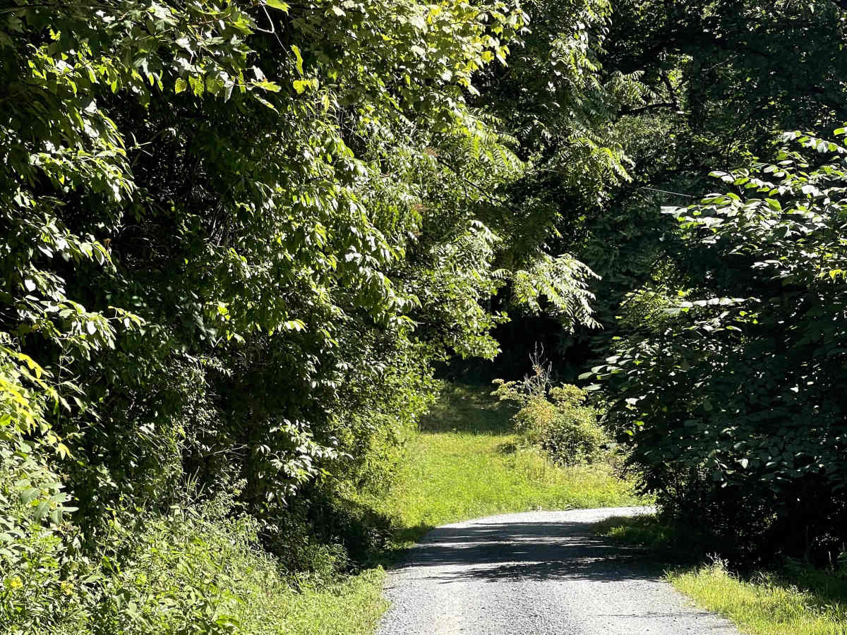 Globe Road photo 2