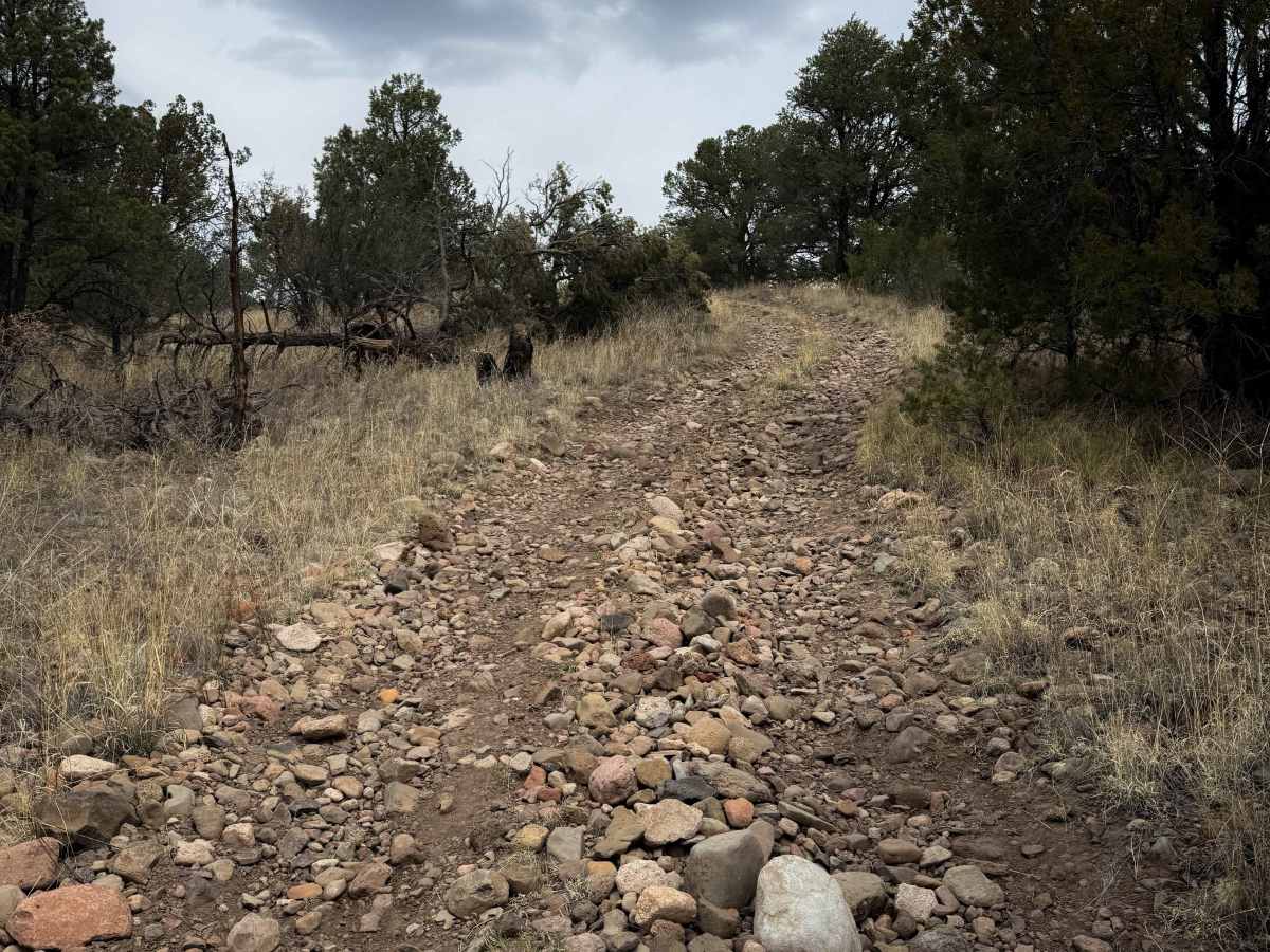 Trail 967 photo 2