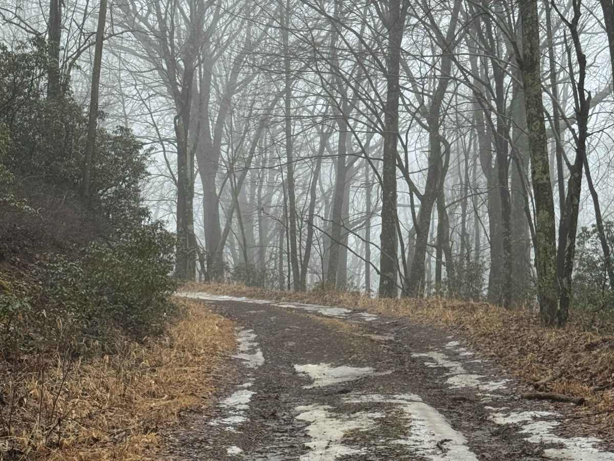 Benjamin Run Road photo 6