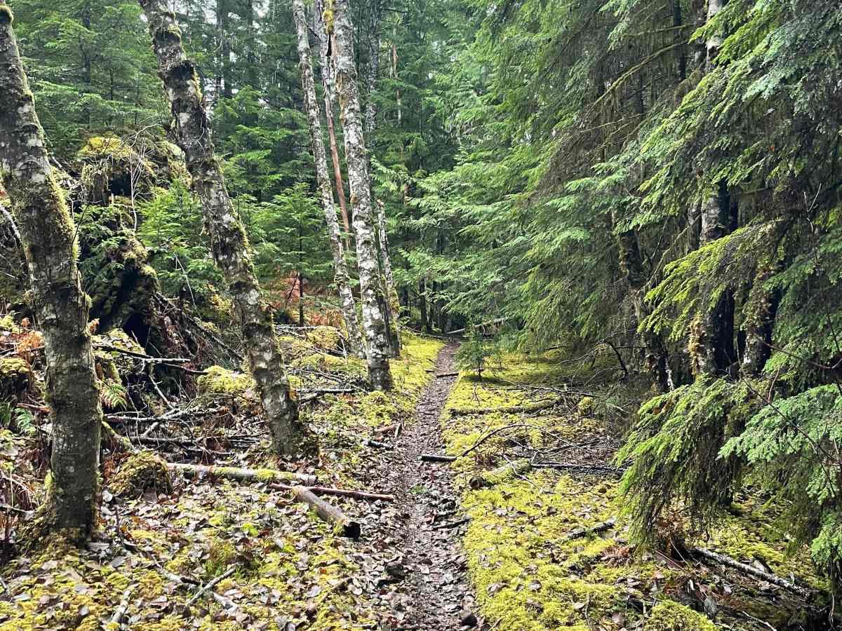 Lava Ridge 1 photo 2