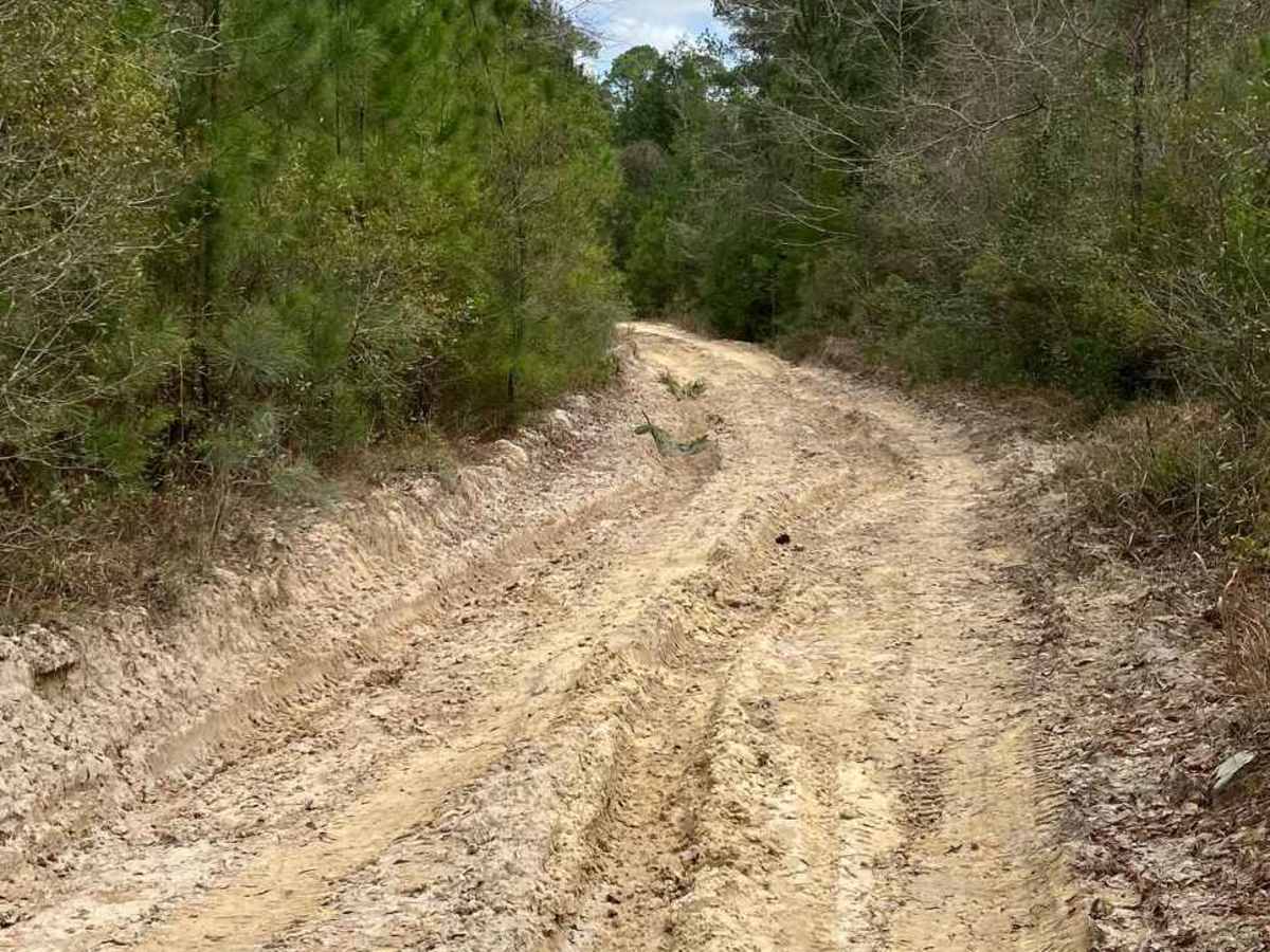 Lower River Road photo 3