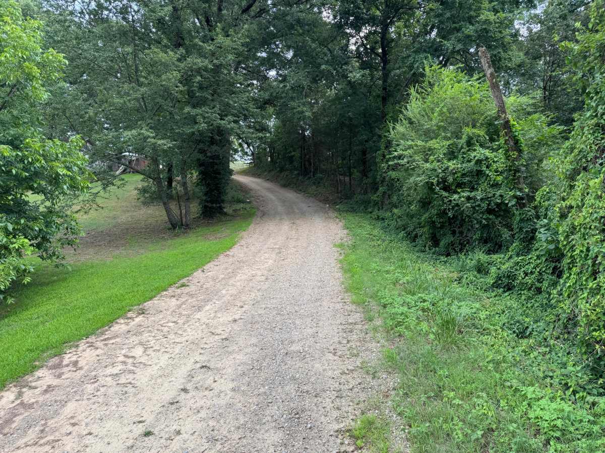 County Road 3706 trail photo