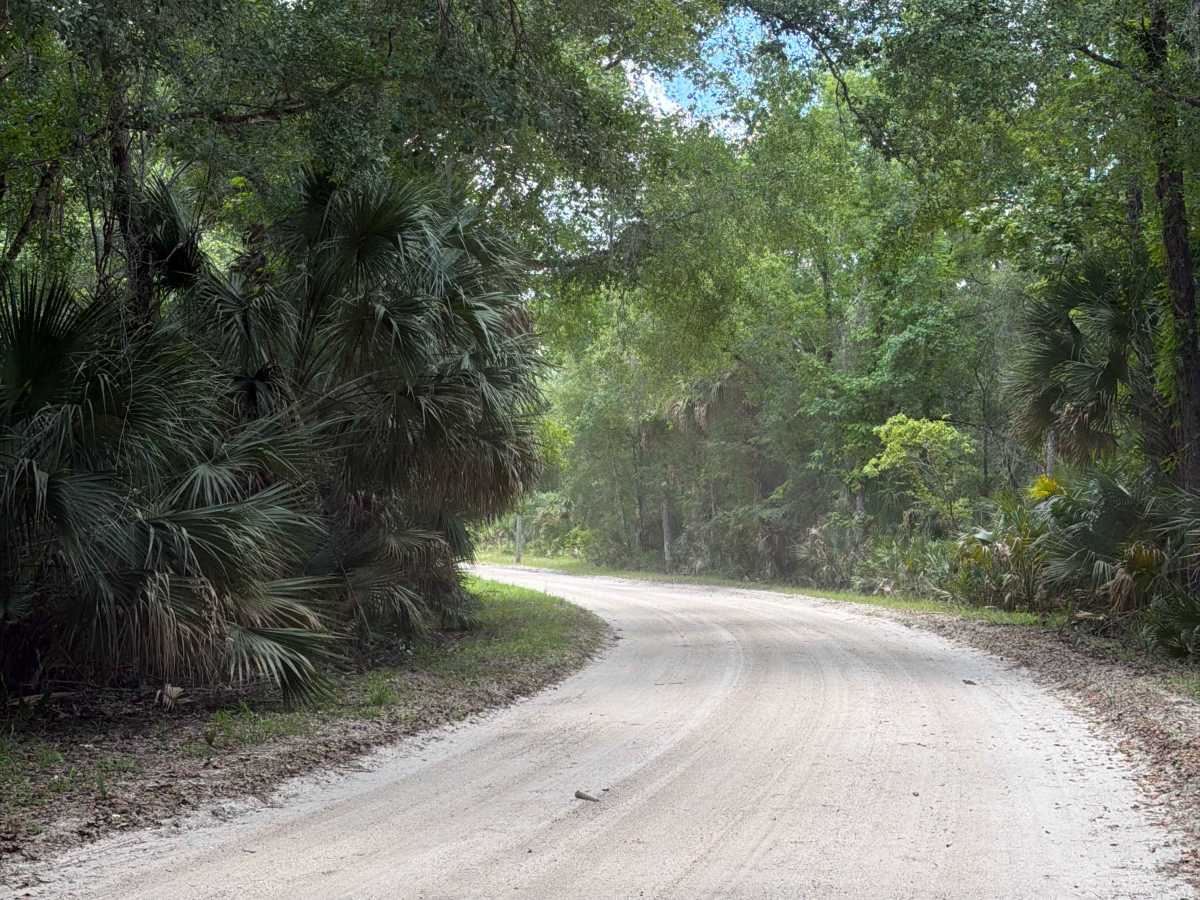 Volusia Bar Road photo 4
