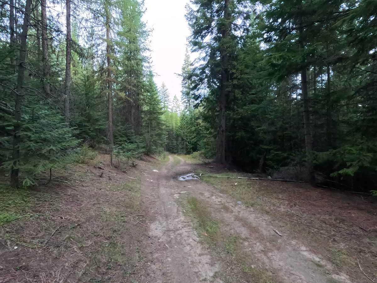 Johnson Creek - FS 7005350 photo 5