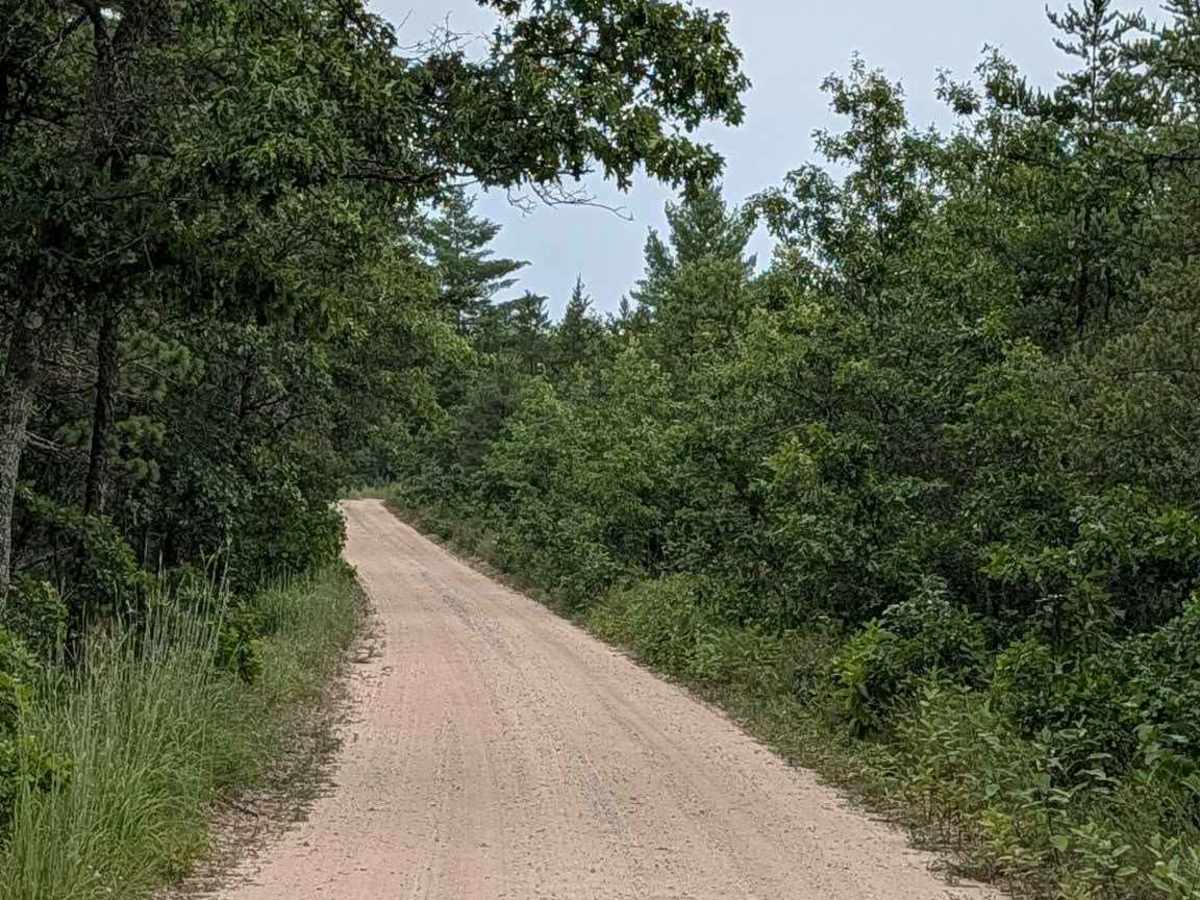 Brownell Road - FS 4510 trail photo