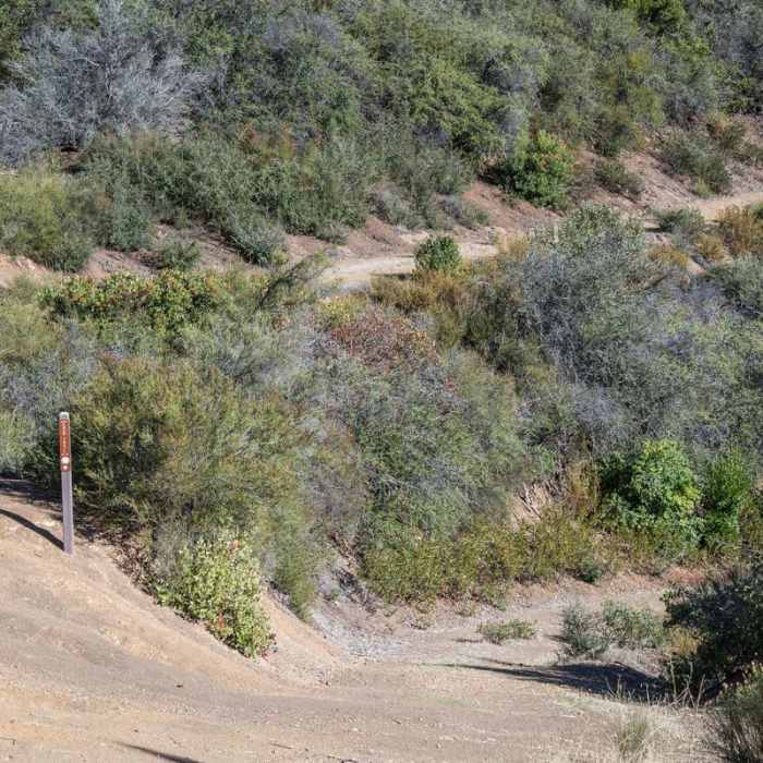 Near Knibbs Knob Near Knibbs Knob